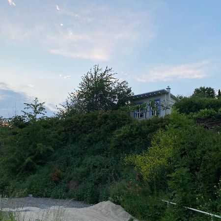 Weinbergshaus Mit Blick Auf'S Wasser Salzatal Εξωτερικό φωτογραφία