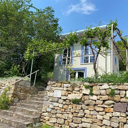 Weinbergshaus Mit Blick Auf'S Wasser Salzatal Εξωτερικό φωτογραφία