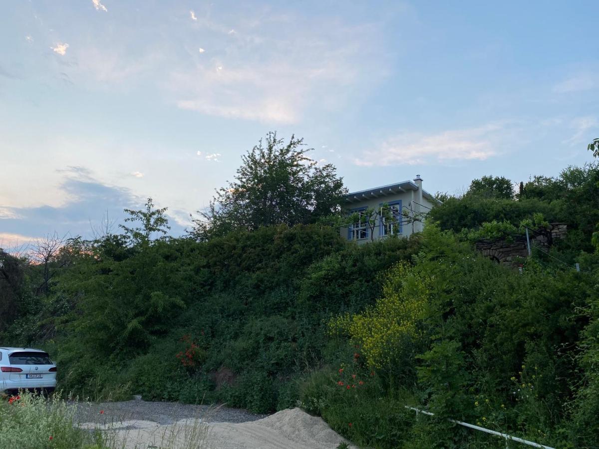 Weinbergshaus Mit Blick Auf'S Wasser Salzatal Εξωτερικό φωτογραφία