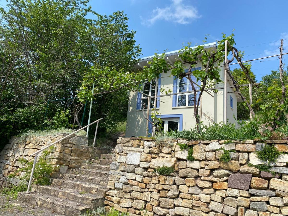 Weinbergshaus Mit Blick Auf'S Wasser Salzatal Εξωτερικό φωτογραφία